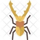پیش‌نمایش فایل cyclommatus-stag-4149062 از پک حشره