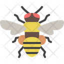 پیش‌نمایش فایل honeybee-4149046 از پک حشره
