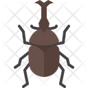 پیش‌نمایش فایل horned-dynastid-4149055 از پک حشره