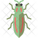 پیش‌نمایش فایل jewel-beetle-4149064 از پک حشره