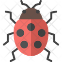 پیش‌نمایش فایل ladybug-4149044 از پک حشره