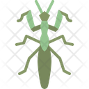پیش‌نمایش فایل mantis-4149058 از پک حشره