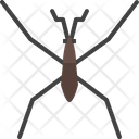 پیش‌نمایش فایل pondskater-4149065 از پک حشره