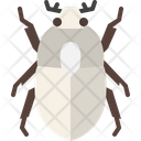 پیش‌نمایش فایل scarab-beetle-4149066 از پک حشره