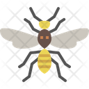 پیش‌نمایش فایل wasp-4149054 از پک حشره