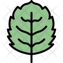 پیش‌نمایش فایل apple-leaf-4164055 از پک برگ ها