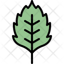 پیش‌نمایش فایل birch-leaf-4164060 از پک برگ ها