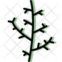 پیش‌نمایش فایل cypress-leaf-4164042 از پک برگ ها