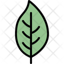 پیش‌نمایش فایل dogwood-leaf-4164059 از پک برگ ها