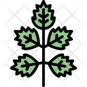 پیش‌نمایش فایل elder-leaf-4164040 از پک برگ ها