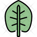 پیش‌نمایش فایل elephant-ear-leaf-4164068 از پک برگ ها