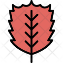 پیش‌نمایش فایل elm-leaf-4164067 از پک برگ ها