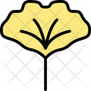پیش‌نمایش فایل ginkgo-leaf-4164065 از پک برگ ها
