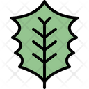 پیش‌نمایش فایل holly-leaf-4164044 از پک برگ ها