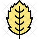 پیش‌نمایش فایل hornbeam-leaf-4164043 از پک برگ ها