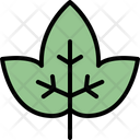 پیش‌نمایش فایل ivy-leaf-4164061 از پک برگ ها