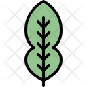 پیش‌نمایش فایل kaffir-lime-leaf-4164048 از پک برگ ها