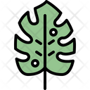 پیش‌نمایش فایل monstera-leaf-4164062 از پک برگ ها