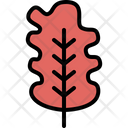 پیش‌نمایش فایل oak-leaf-4164045 از پک برگ ها