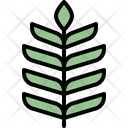 پیش‌نمایش فایل palm-leaf-4164058 از پک برگ ها