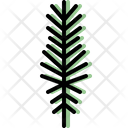 پیش‌نمایش فایل pine-leaf-4164049 از پک برگ ها