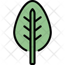 پیش‌نمایش فایل spinach-leaf-4164066 از پک برگ ها