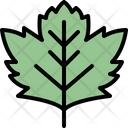 پیش‌نمایش فایل sycamore-leaf-4164052 از پک برگ ها