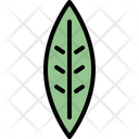 پیش‌نمایش فایل willow-leaf-4164064 از پک برگ ها