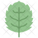 پیش‌نمایش فایل apple-leaf-4164180 از پک برگ ها