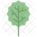 پیش‌نمایش فایل aspen-leaf-4164188 از پک برگ ها