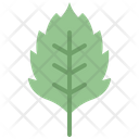 پیش‌نمایش فایل birch-leaf-4164185 از پک برگ ها