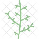 پیش‌نمایش فایل cypress-leaf-4164167 از پک برگ ها
