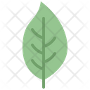 پیش‌نمایش فایل dogwood-leaf-4164184 از پک برگ ها