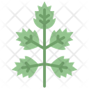 پیش‌نمایش فایل elder-leaf-4164165 از پک برگ ها