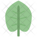 پیش‌نمایش فایل elephant-ear-leaf-4164193 از پک برگ ها