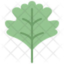 پیش‌نمایش فایل hawthorn-leaf-4164182 از پک برگ ها