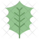 پیش‌نمایش فایل holly-leaf-4164169 از پک برگ ها