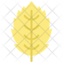 پیش‌نمایش فایل hornbeam-leaf-4164168 از پک برگ ها