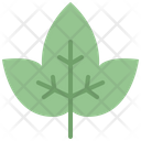 پیش‌نمایش فایل ivy-leaf-4164186 از پک برگ ها