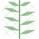 پیش‌نمایش فایل juniper-leaf-4164176 از پک برگ ها