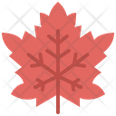 پیش‌نمایش فایل maple-leaf-4164172 از پک برگ ها