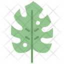 پیش‌نمایش فایل monstera-leaf-4164187 از پک برگ ها