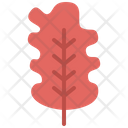 پیش‌نمایش فایل oak-leaf-4164170 از پک برگ ها