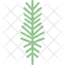 پیش‌نمایش فایل pine-leaf-4164174 از پک برگ ها