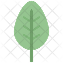 پیش‌نمایش فایل spinach-leaf-4164191 از پک برگ ها