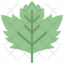 پیش‌نمایش فایل sycamore-leaf-4164177 از پک برگ ها