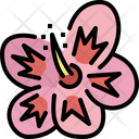 پیش‌نمایش فایل hibiscus-flower-4198648 از پک تابستان