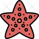 پیش‌نمایش فایل starfish-4198631 از پک تابستان