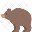 پیش‌نمایش فایل bear-4563154 از پک حیوانات وحشی
