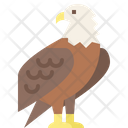 پیش‌نمایش فایل eagle-4563167 از پک حیوانات وحشی